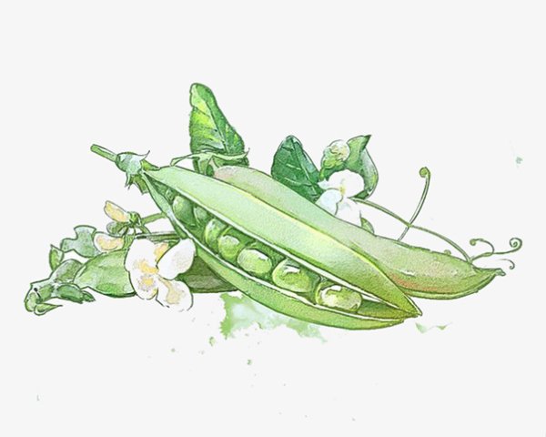 Горошек акварель