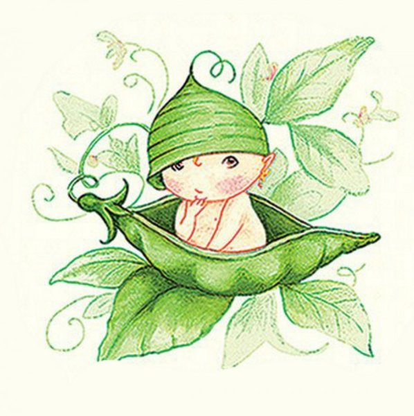 Дети горошинки