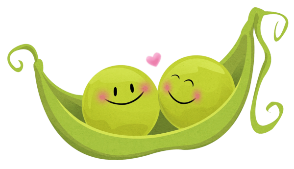 Две горошины в стручке