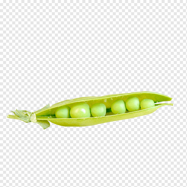 Стручок с 1 горохом