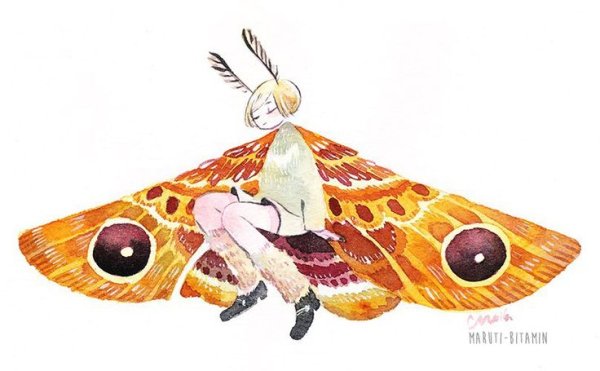 Милый мотылек арт