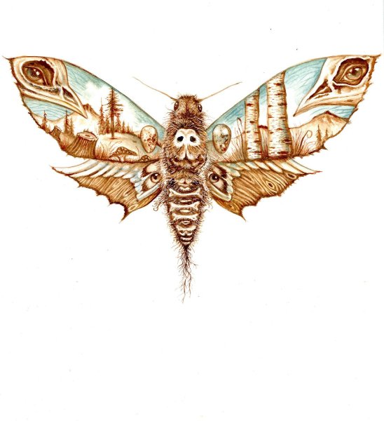 Мотылек Moth Art