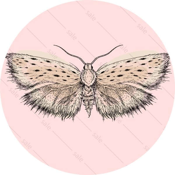 Моль логотип