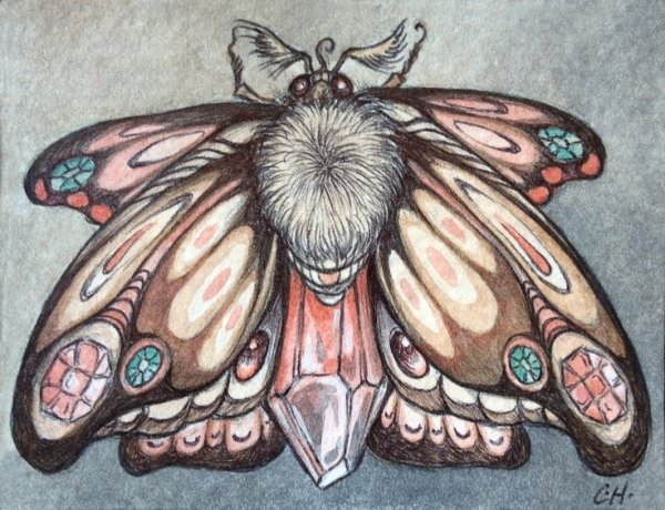 Мотылек рисунок
