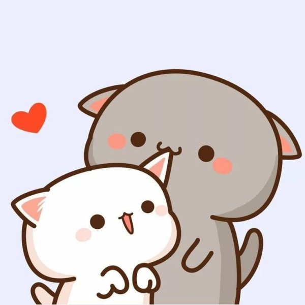 Кавайные котики любовь