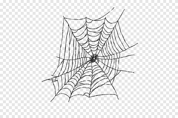 Паутина человека паука