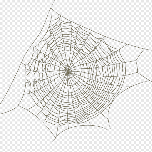 Паутина тату эскиз