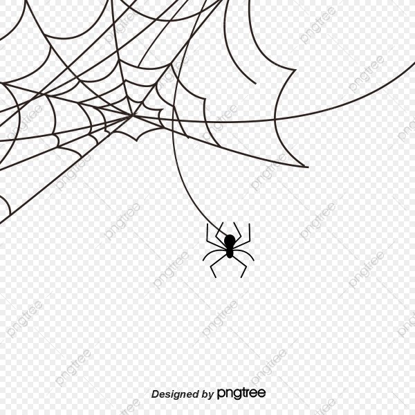 Паутина с пауком человек паук