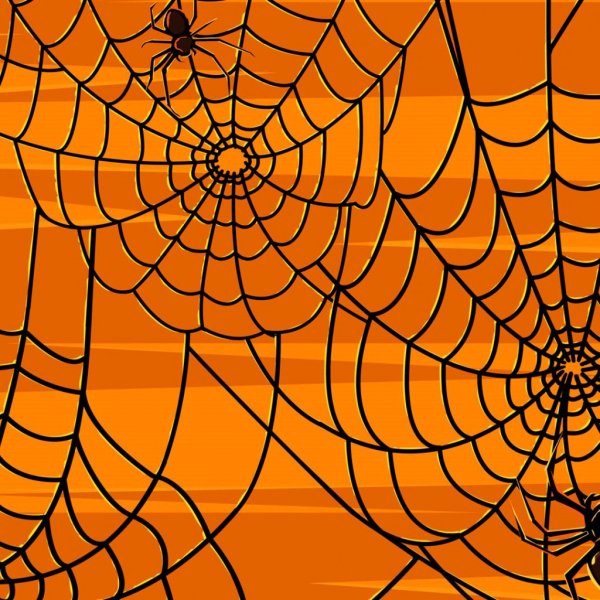 Сетка паутина