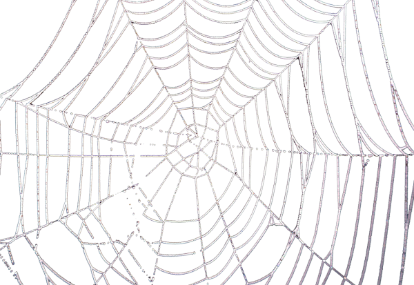 Паутина для фотошопа