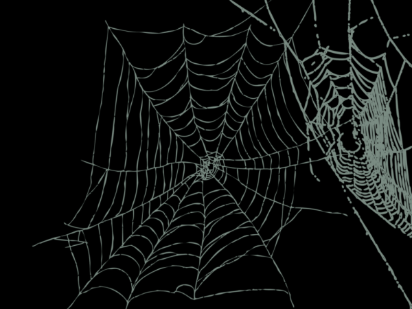 Halloween паутина