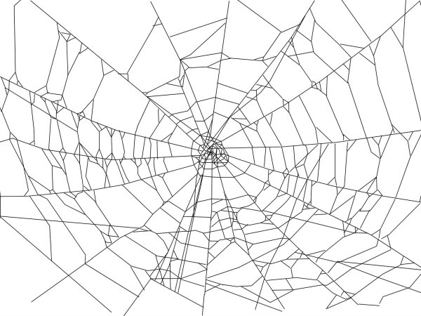 Паутина угловая