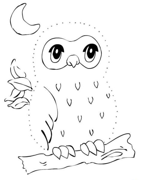 Рисование птиц по точкам