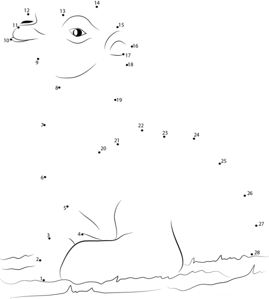 Соедини по цифрам