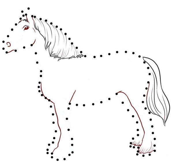 Домашние животные по точкам