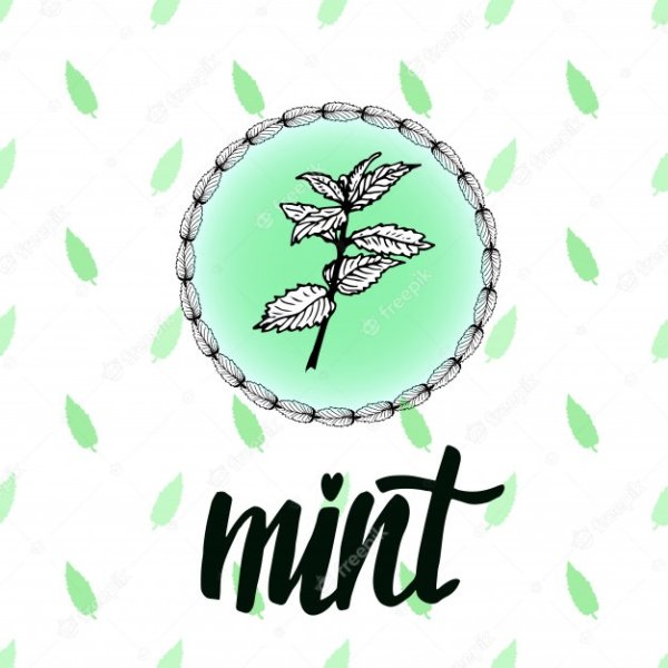 Мятный логотип