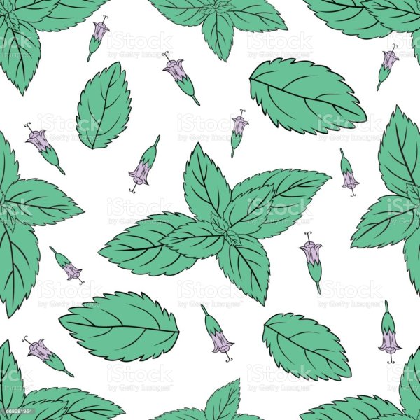 Листья мяты арт