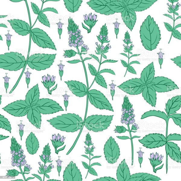 Фон мятного цвета с листочками