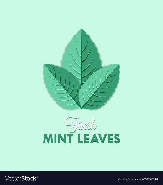 Мята вектор