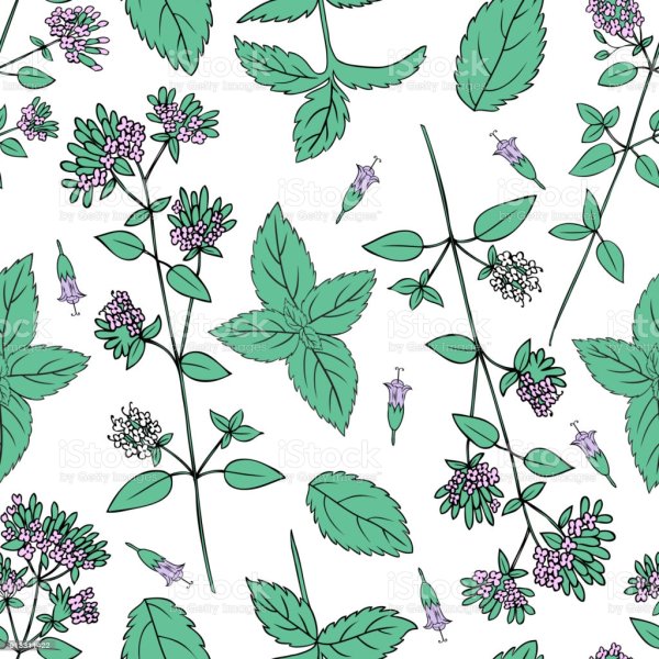 Мятные листья фон