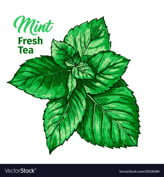 Фон нарисованных шоколадок