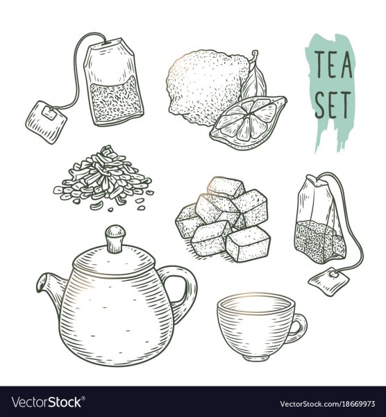 Чай скетч вектор
