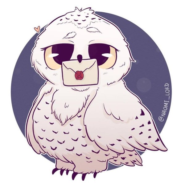 Наоми Лорд Гарри Поттер Сова