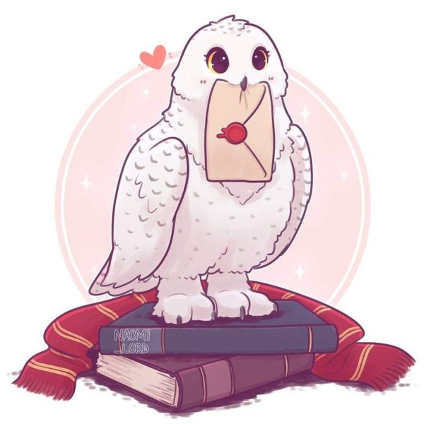 Наоми Лорд Букля