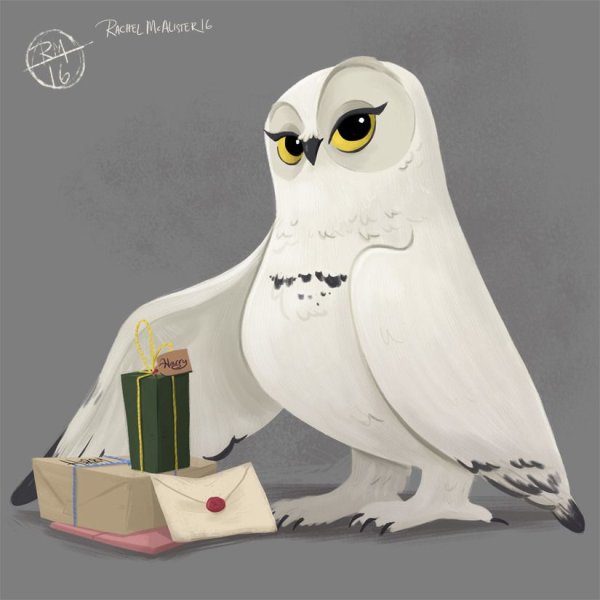 Гарри Поттер Хедвиг арт