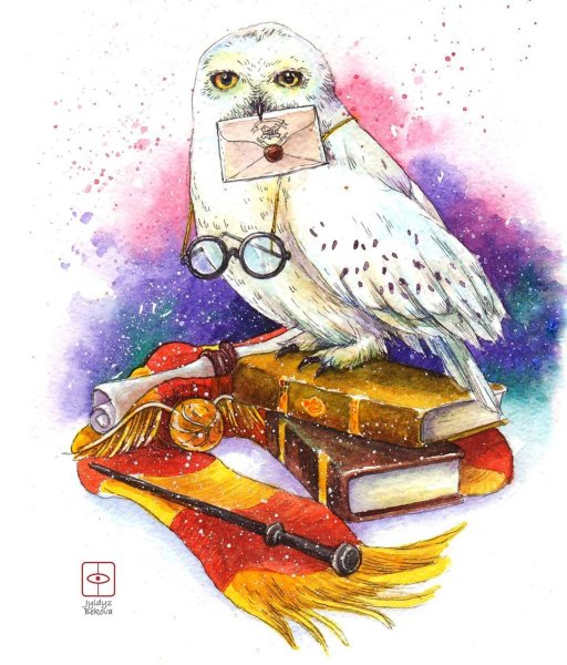 Сова Букля из Гарри Поттера