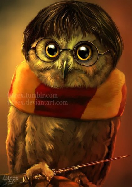 Гриффиндор Сова Гарри Поттера