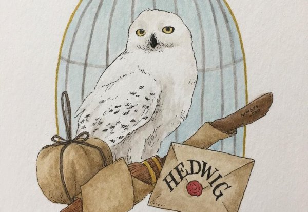 Сова Гарри Поттера