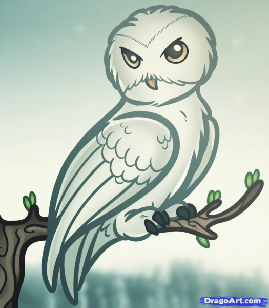 Гарри Поттер Букля арт