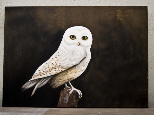 Гарри Поттер милые рисуночки