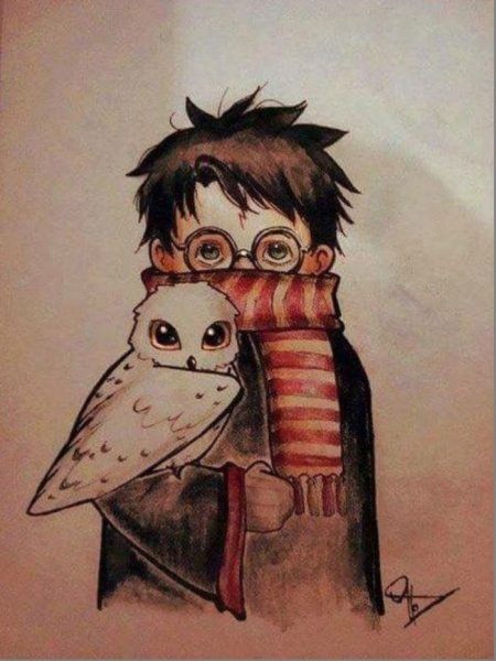 Сова Букля из Гарри Поттера иллюстрации