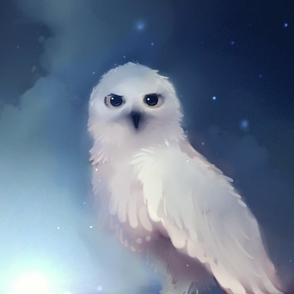 Белая Полярная Сова Гарри Поттера