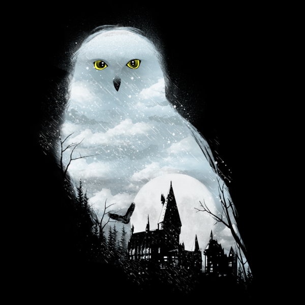 Гарри Поттер Хедвиг арт