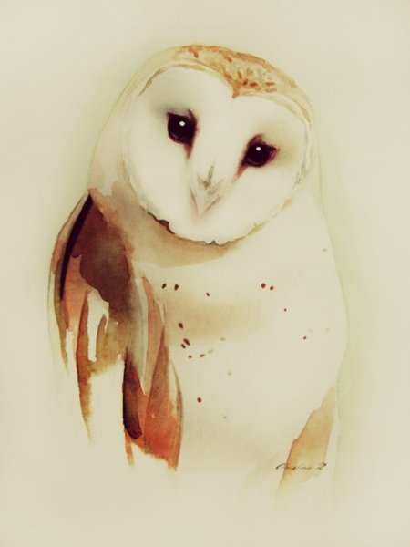 Букля Гарри Поттер