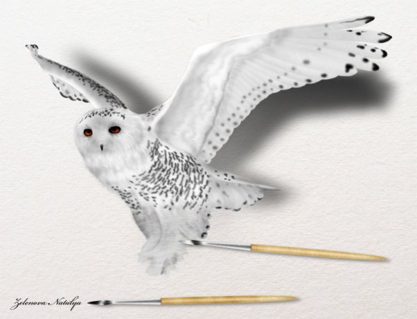 Гарри Поттер Букля арт