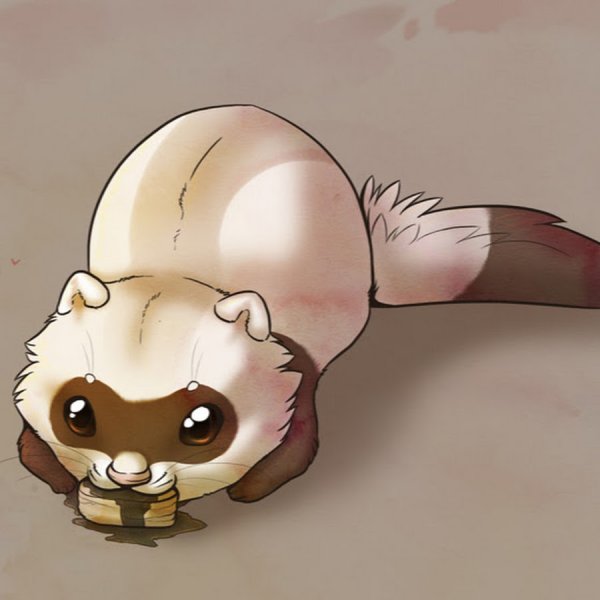 Анимешный хорёк