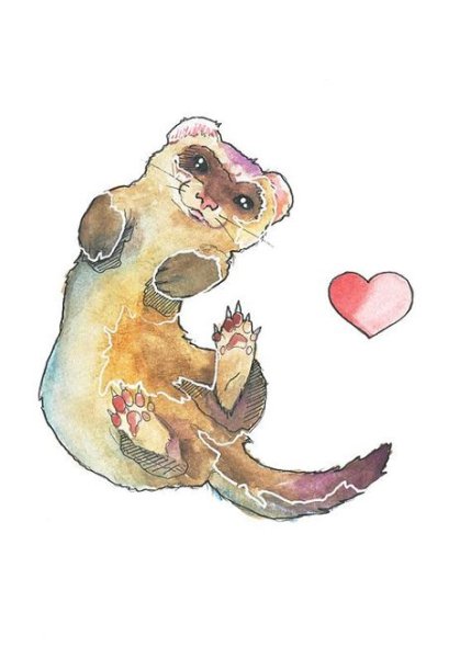 Хорек акварелью