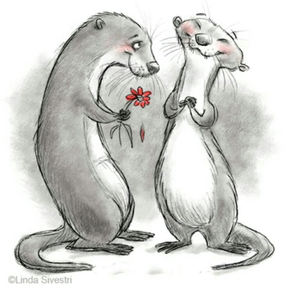 Смешной хорек рисунок