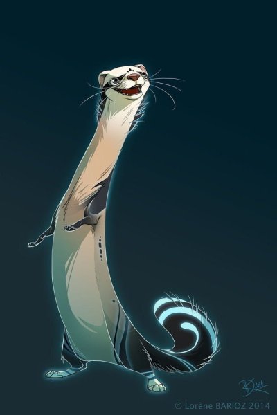 Хорьки арты