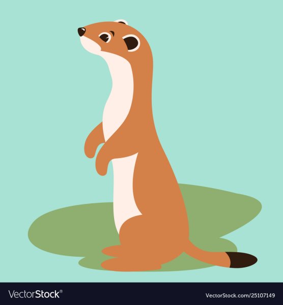 Норка мультяшная