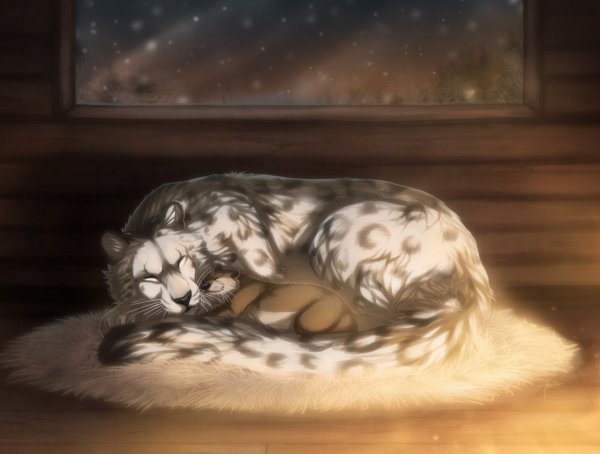 Фурри хорек