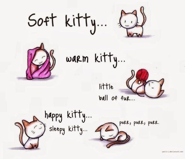 Фразы про котов на английском