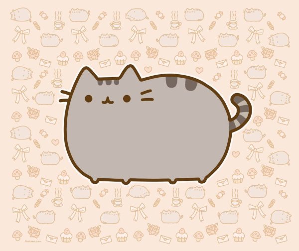 Кот Пушин Pusheen