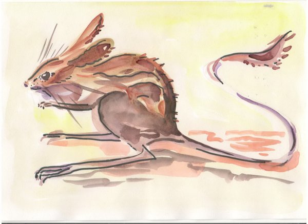 Тушканчик акварель