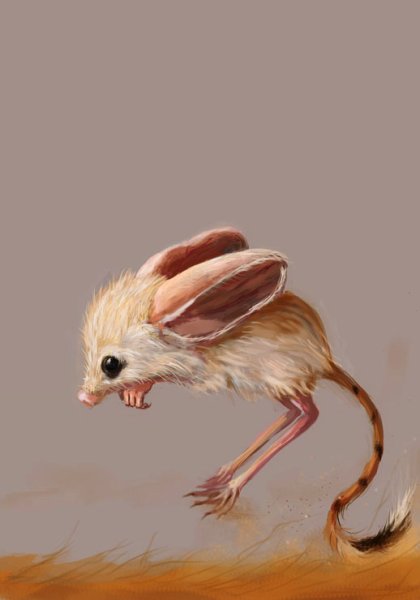 . Тушканчик большой – Allactaga Major Kerr,