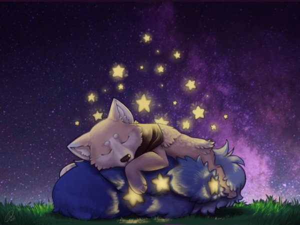 Доброй ночи милота